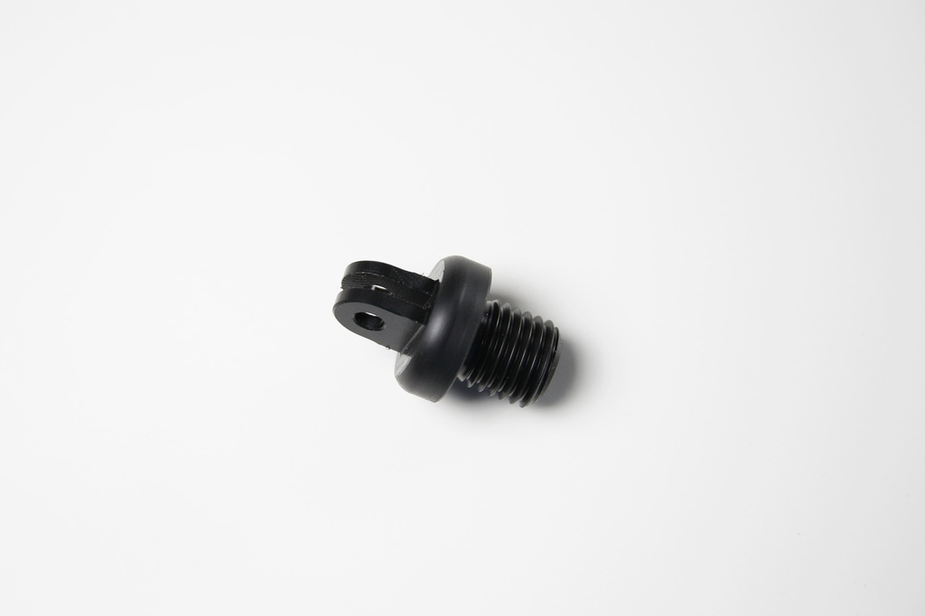 GoPro screw